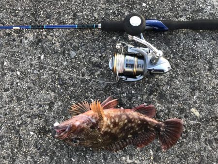 ワームで穴釣り