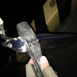 湾奥タチウオ。深ダナが決め手!