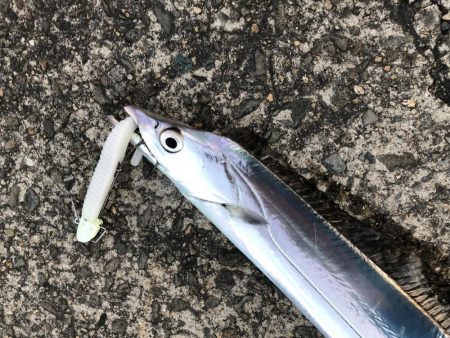 時合いはたったの15分！？価値ある4本