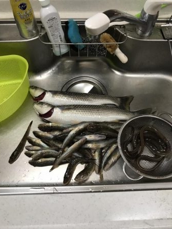 落とし込みでまさかのボラ⁈