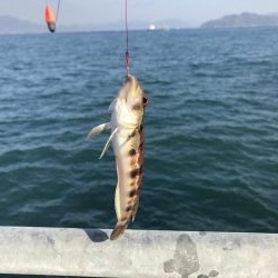 ちびっ子五目釣り