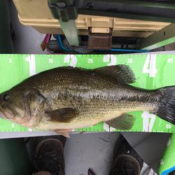 冬のランカーバス