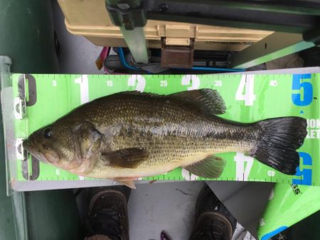 冬のランカーバス