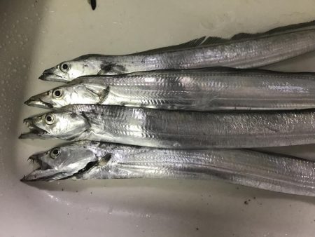 久しぶりの浮き釣り