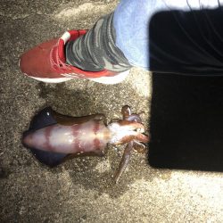 爆風釣行釣り納め