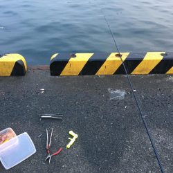 今年の釣り納めにドラゴン