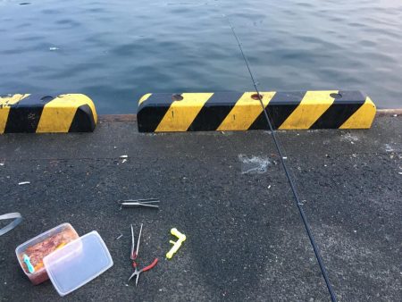 今年の釣り納めにドラゴン