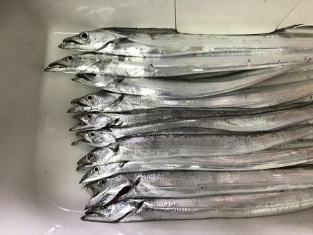 短時間でよく釣れました