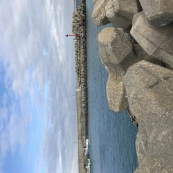 極寒暴風の中でタケノコメバルゲット！