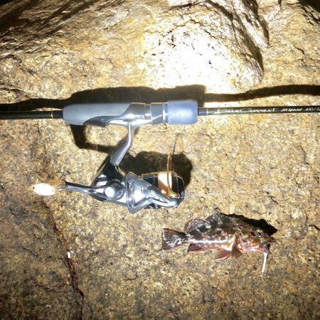 マイクロックフィッシュ