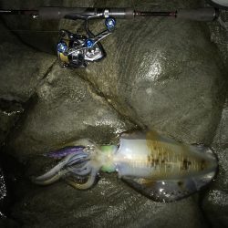 あっ!忘れてきたぁ・・・