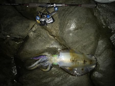 あっ!忘れてきたぁ・・・