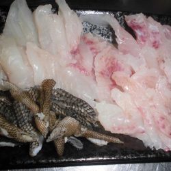 ソイやッ！ソイやッ！ソイやッ！