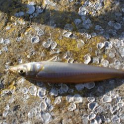 天気がいいが渋い