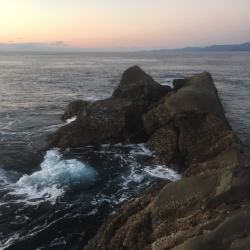 アイゴの猛攻 津島ワレ