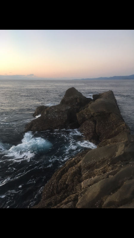 アイゴの猛攻 津島ワレ