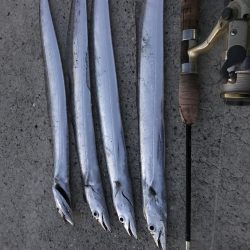 パワーシャッドどこまで使えんねん