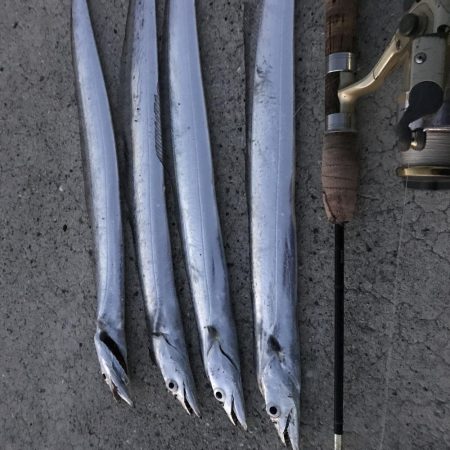 パワーシャッドどこまで使えんねん