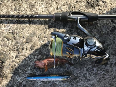 あたりが欲しくて！