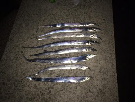 タチウオ釣り納め