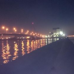 アジング&ワインド&ショアジギング