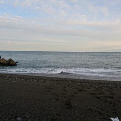 ショアジギング