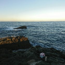 潮岬でグレ釣り