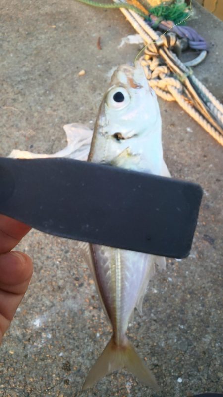 スーパームーンアジング