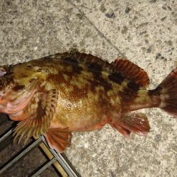 粘った結果……