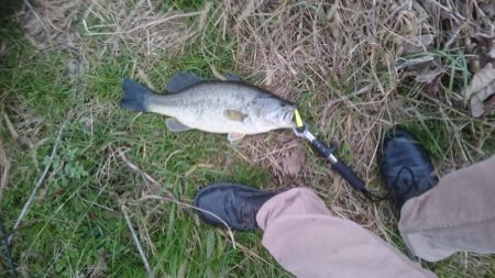 まだ釣れました