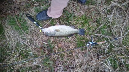 クリスマスイブですが