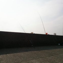 2017今年最後の播磨