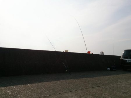 2017今年最後の播磨