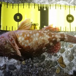 ちょっと仕事終わりに