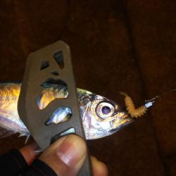 極寒フラフラアジング！