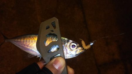 極寒フラフラアジング！