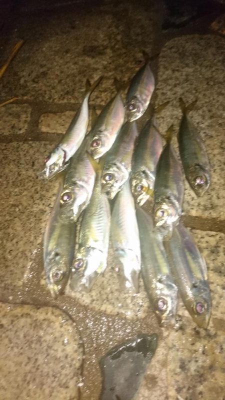 南蛮漬け(予定)