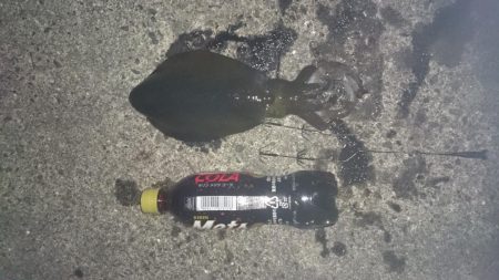 本日も先週に引き続き風がないので行って来ま…