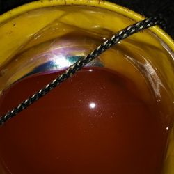 今日は、芦屋浜までタチウオを釣りに行きました。