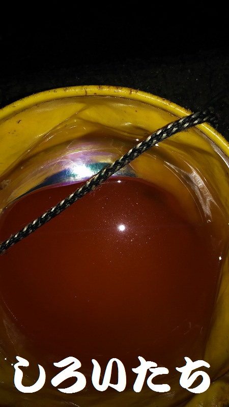 今日は、芦屋浜までタチウオを釣りに行きました。