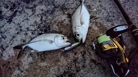 いきなりのダブルヒット