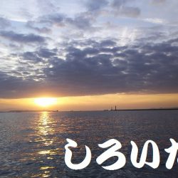 メバル狙いで、２０１７年釣り納めか？