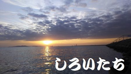 メバル狙いで、２０１７年釣り納めか？