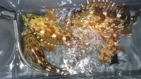 今年最後のェギング！