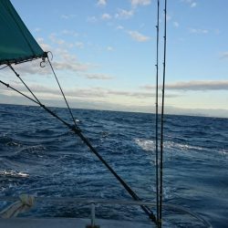 ビンタ&カツオ爆釣！