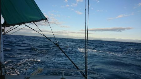 ビンタ&カツオ爆釣！