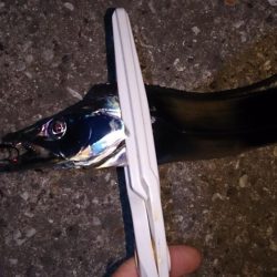 タチウオ最終釣行