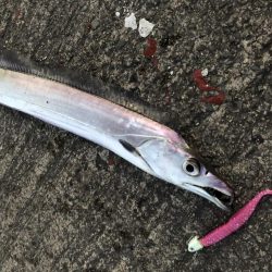 外は爆風、極寒!その中で奴は現れた…