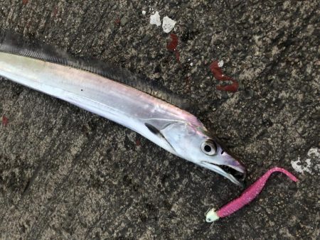 外は爆風、極寒!その中で奴は現れた…