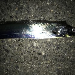 ホンマ、久しぶりですわ!